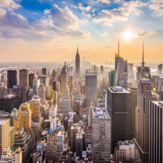 Disability Advocates in New York